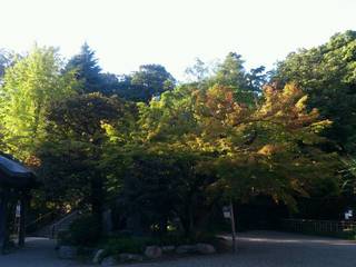 20141016154256.jpg