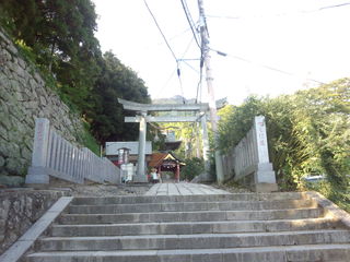 IMG_20141007_153152.jpg
