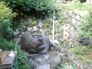 IMG_20141007_154646.jpg