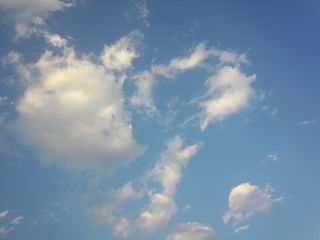IMG_20141027_161651.jpg